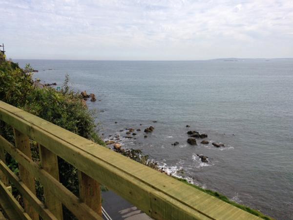 Pinguino En La Roca - Lodge Vina del Mar Exterior foto